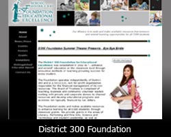 D300 Foundation for Educational Excellence